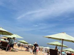 -日照海滨国家森林公园