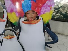 -南昌海洋公园