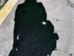 -OMG星都里
