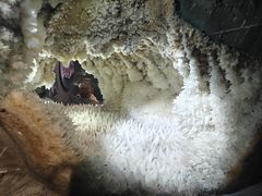 -湖南省地质博物馆