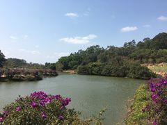 -南国桃园旅游度假区