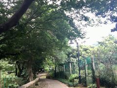 -雨花胜境