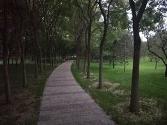 -森林公园(尖草坪区)