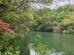 -白马涧龙池景区