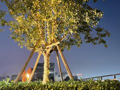-悦融·京鲁菜·露台花园(安定门店)
