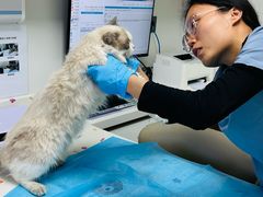 -达爱动物医院·犬猫分区·CT·复杂眼科(远洋山水分院)