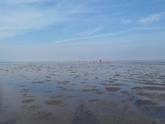 -南汇新城海滩