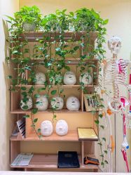 -小颜秘家·韩国整骨