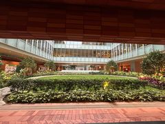 -香港大学