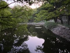 -叶家花园