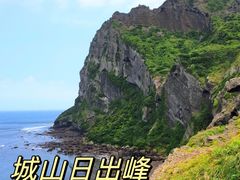 -济州森林小火车生态公园