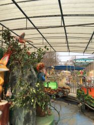 -大望京儿童游乐场