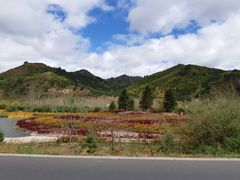 -塞罕坝国家级自然保护区