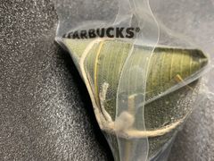 星冰粽-星巴克臻选(广州沙面店)