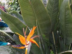 -南宫温泉水世界