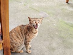 -清漾毛氏文化村