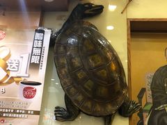 -恭和堂 龟苓膏(铜锣湾店)