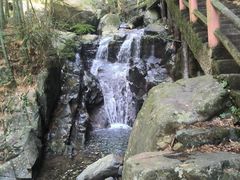 -藏龙百瀑风景区