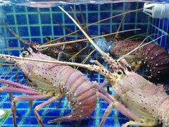 -徐记海鲜(梅溪新天地店)