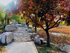 -石家庄市植物园
