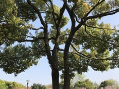 -荆川公园