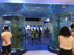 -乐天免税店(明洞店)