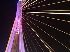 -纳兰傣雀傣味餐厅