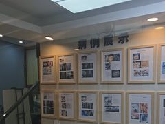 -半岛宠物医院24小时·内窥镜·牙科·碎石中心(府城大道店)