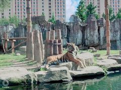 -上海野生动物园