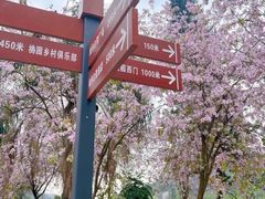 -南国桃园旅游度假区