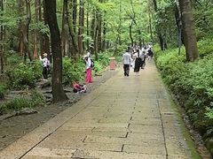 -宋宴(虎跑店)