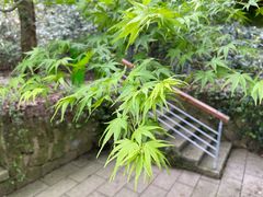 -西湖风景区-江洋畈生态公园
