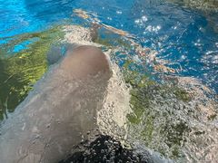 -上海玛雅海滩水公园