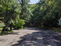 -上海佘山国家森林公园西佘山园