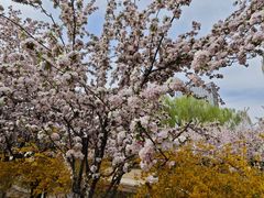 -元大都城垣遗址公园