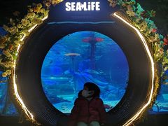 -沈阳海洋探索中心