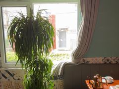 -伊斯麦尔丝路·新派菜(沙子口店)