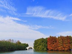 -上海海湾国家森林公园