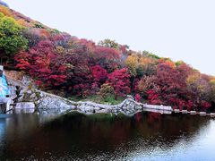-龙道沟景区