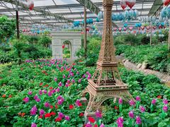 -南宫五洲植物乐园