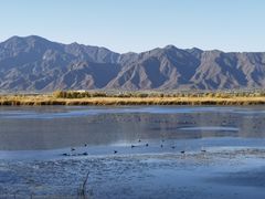 -野鸭湖国家湿地公园