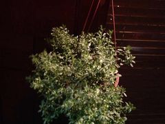 -Together·泰式按摩精油SPA(天山店)