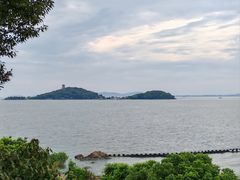 -上海市保健医疗中心