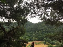 -芦仙山景区-飞越丛林探险乐园