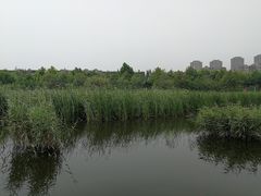 -前关湿地公园