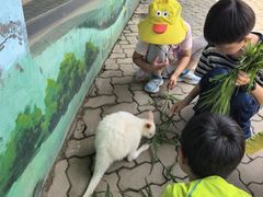 -西霞口神雕山野生动物世界