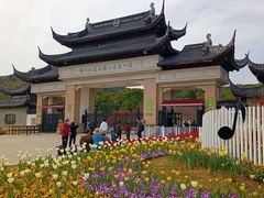 -苏州上方山国家森林公园