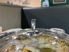 -百利鸽王(紫薇路店)
