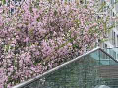 -浙江大学(玉泉校区)