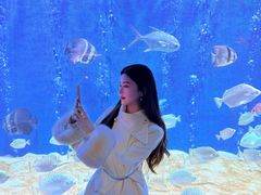 -合肥海洋世界